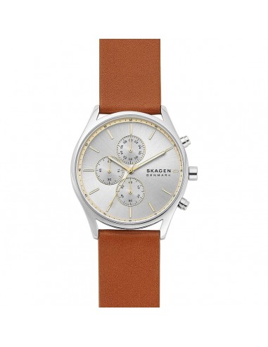 Montre Homme Skagen HOLST de la marque