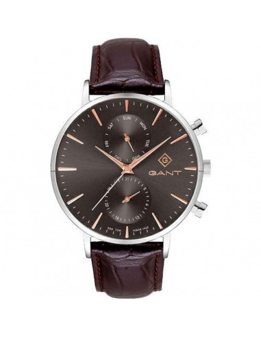 Montre Homme Gant G121007 Marron Faites des économies