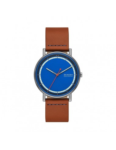 Montre Homme Skagen SIGNATUR (Ø 40 mm) en stock