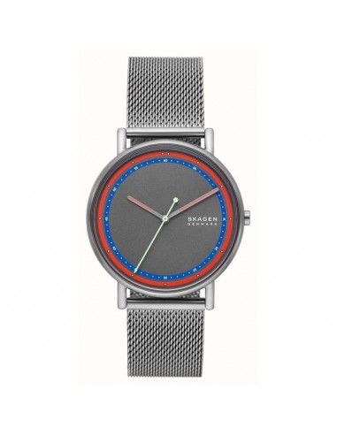 Montre Homme Skagen SIGNATUR (Ø 40 mm) livraison gratuite